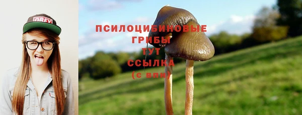 молекула духа Медвежьегорск