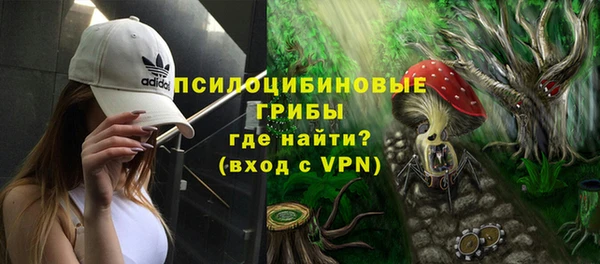 стафф Медногорск