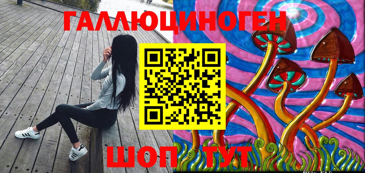 Кирово-Чепецк  Галлюциногенные грибы Psilocybe  Вход с VPN 