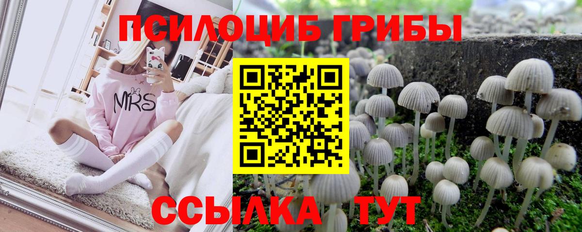 Псилоцибиновые грибы MAGIC MUSHROOMS Кирово-Чепецк
