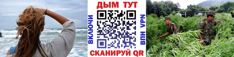 Марихуана планчик  продажа наркотиков  Кирово-Чепецк 